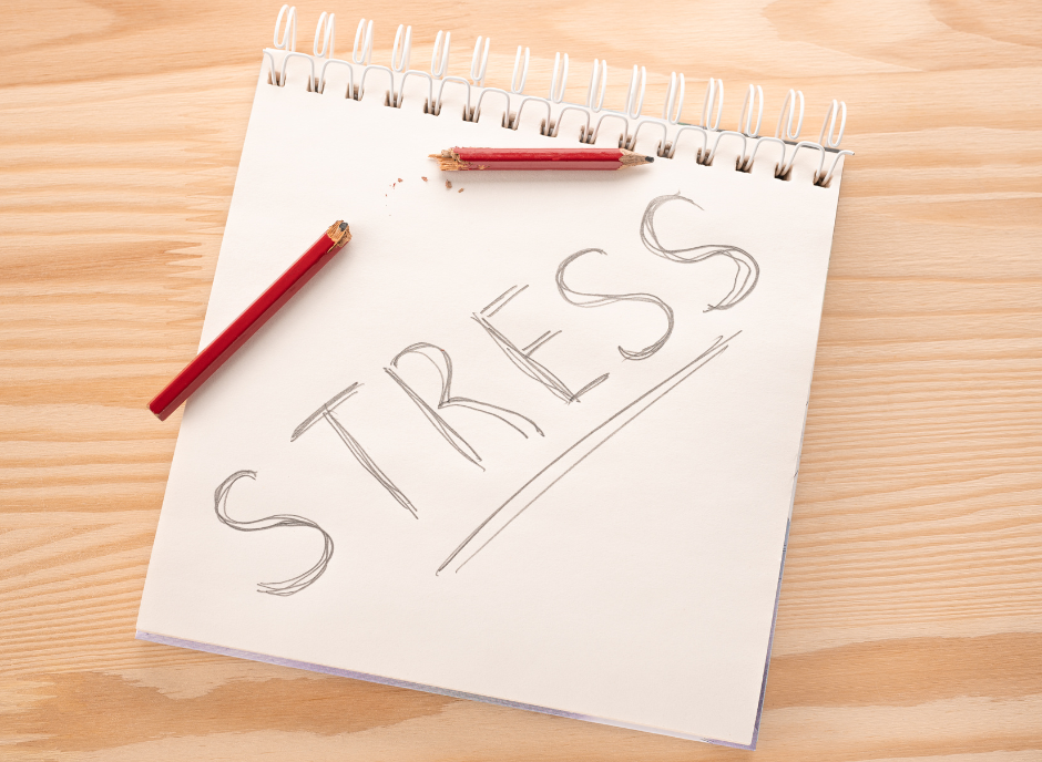 Scopri di più sull'articolo Sviluppa la memoria gestendo lo stress