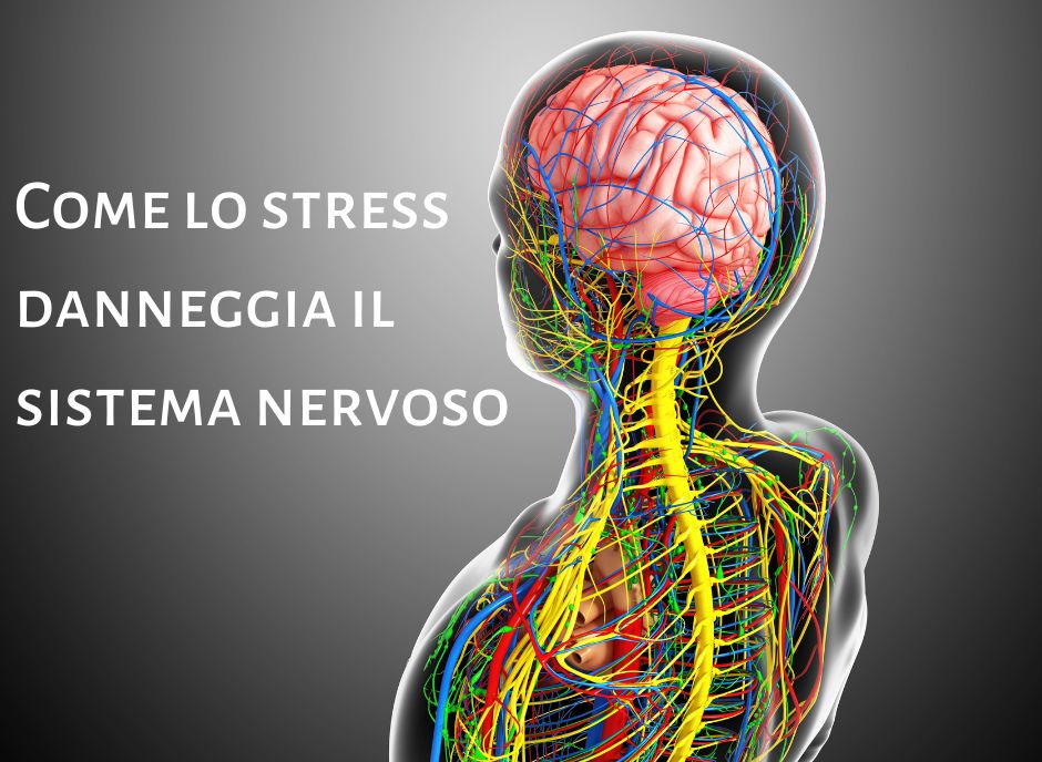 Scopri di più sull'articolo Come si manifesta lo stress nel nostro corpo?
