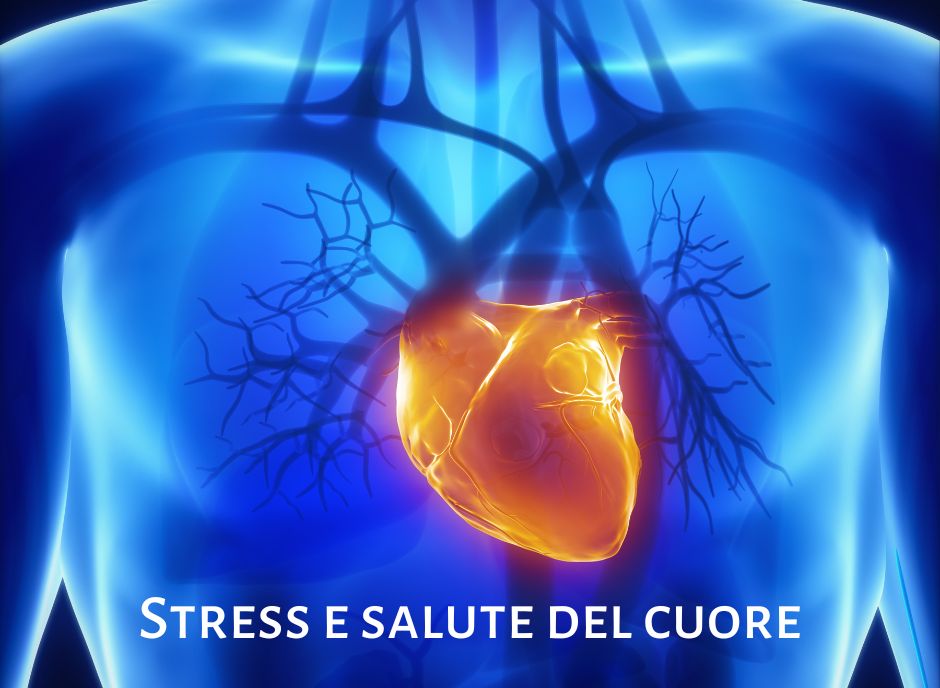 Scopri di più sull'articolo Stress e salute del sistema cardiovascolare